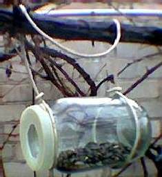 Простая кормушка для птиц из стеклянной банки