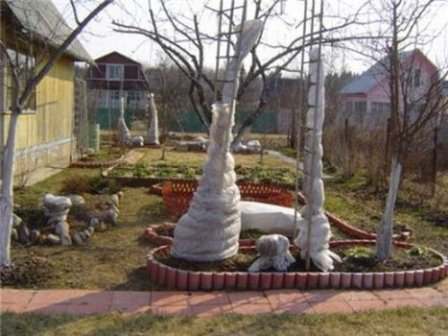 Укрываем плодовый сад и оберегаем его от зимних морозов