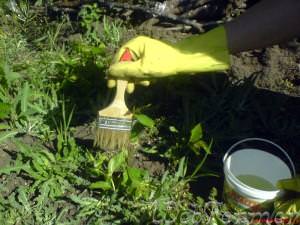 Отдельная обработка сорняков химическими средствами