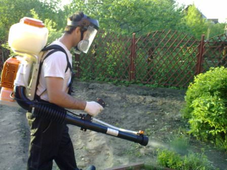 Комплексное воздействие — лучшее оружие против сорняков на даче и территории частного дома