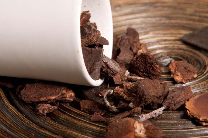 Сажать фаленопсис можно в грунт, выполненный из коры сосны или ели