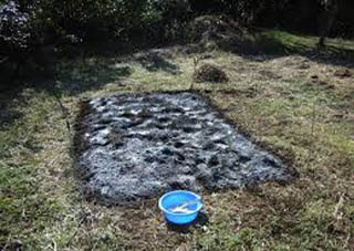 Помните, что для разных выращиваемых культур есть свои нюансы известкования