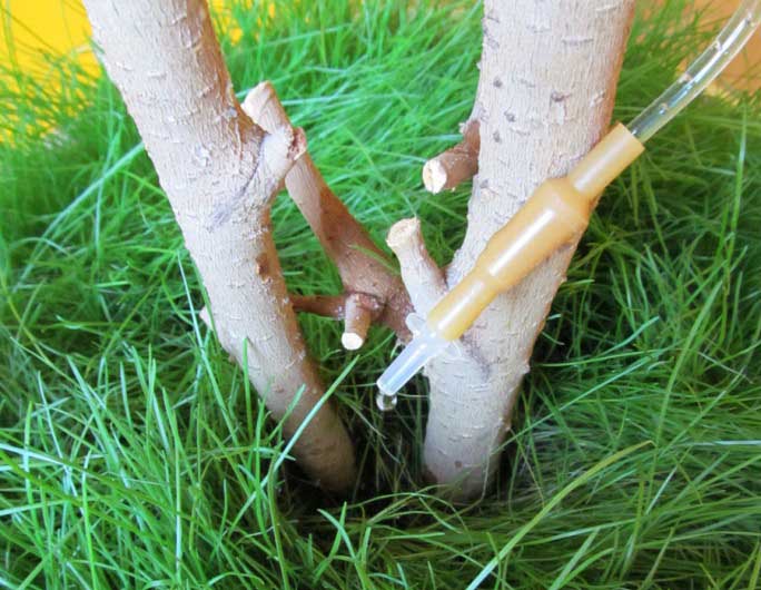 Обустроить капельное орошение своими руками можно при помощи нехитрого приспособления в виде медицинских капельниц