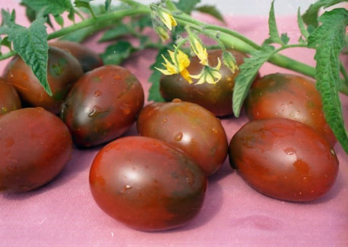 Чёрный «Де Барао» культивируется на садово-огородных участках с использованием плёночных укрытий