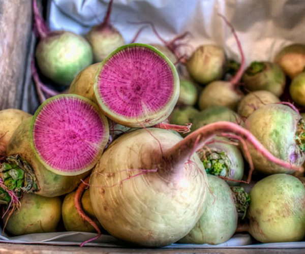 Чтобы вырастить качественный и красивый арбузный редис, требуется грамотно подготовить почву