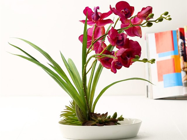 Выбрать кашпо не составит труда, однако следует обратить внимание на правильное расположение растения в нем