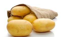 Картофель «Наташа» обладает очень высокой продуктивностью