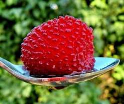 Тибетская малина – экзотический гость родом из Японии