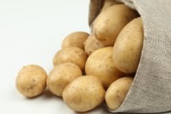 Картофель «Джелли» относится к среднеспелым сортам