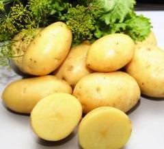 Картофель «Бентье» известен превосходными вкусовыми качествами