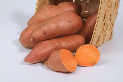 Батат не является прямым родственником картофеля