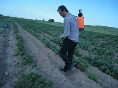 Используйте препараты правильно, и тогда борьба будет эффективной, и безопасной для вас