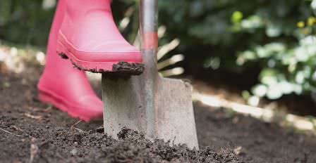 Рекомендуем прислушаться к мнению специалистов по поводу уничтожения сорняков на даче