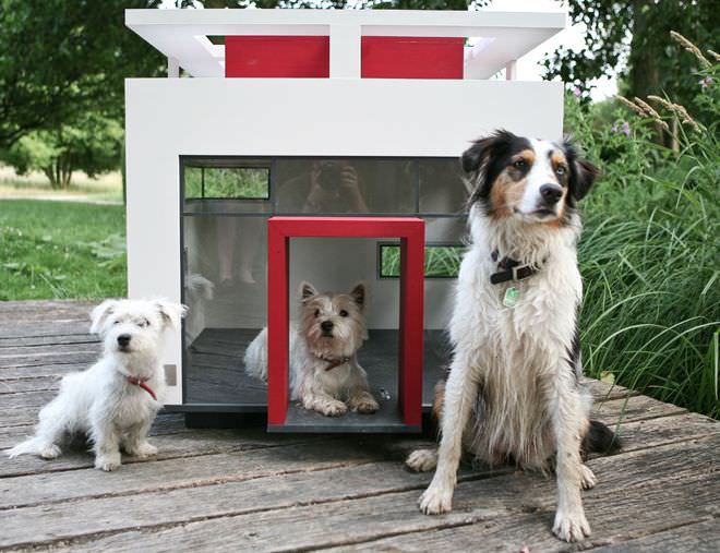 Для того чтобы определиться с размерами, следует посмотреть на своего питомца