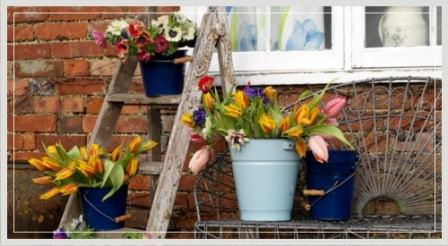 Не стоит выбрасывать ведра, ванны и тазики, ведь они могут еще послужить