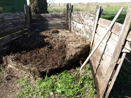 Мелкие ветки после обрезки деревьев определяем в компост