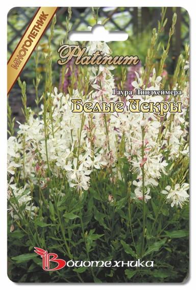 Ответ на Где приобрести семена гауры Линдхеймера