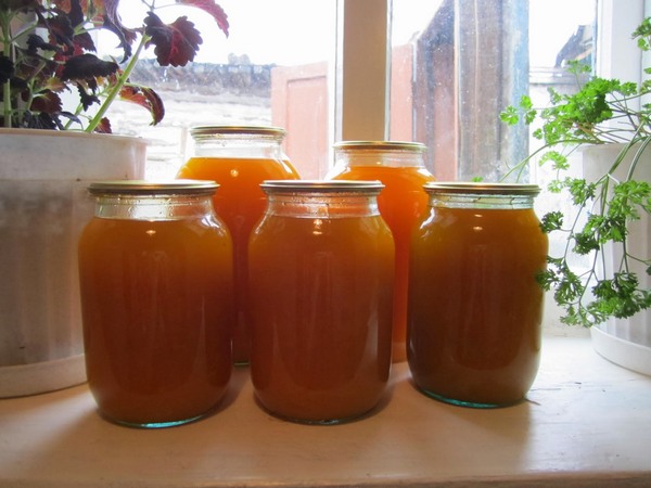 Соком считается напиток, в котором содержание воды составляет не более 50%