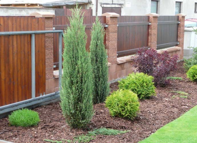 Можжевельник Блю довольно часто используют в ландшафтном дизайне