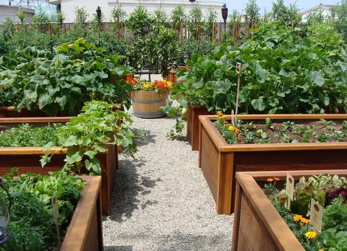 Грядки строгих геометрических форм соотносятся с законами регулярного дизайна
