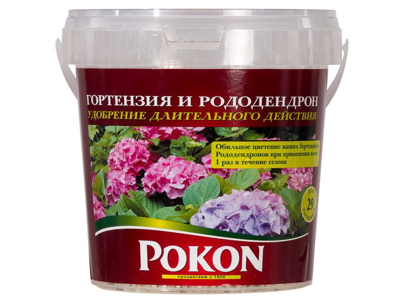 Подкормка – основной вид работ по уходу за пышноцветущим кустарником