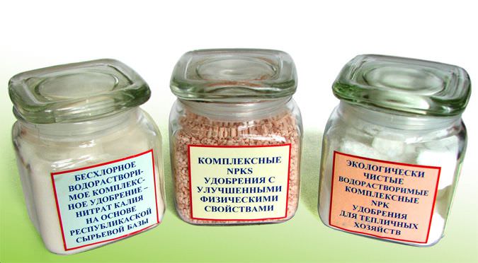 Калий может применяться в комплексных подкормках