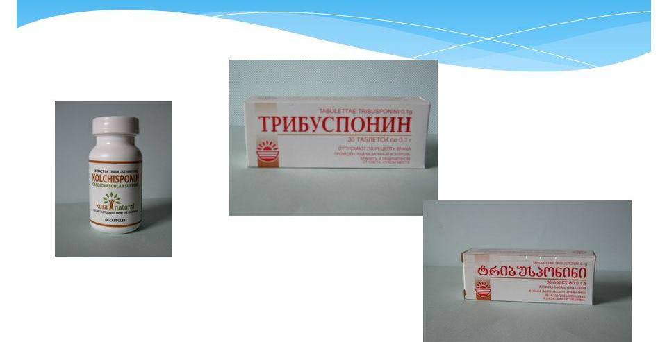 На основе якорника было создано огромное количество медицинских препаратов