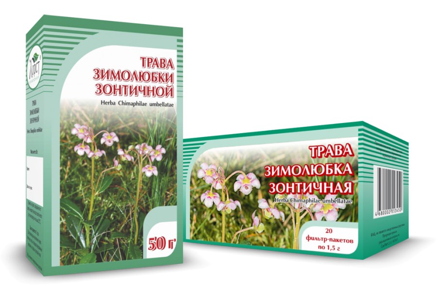 Зимолюбка производит хороший противовоспалительный и антибактериальный эффект