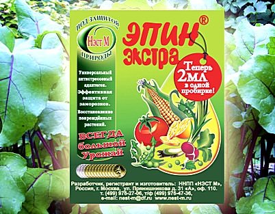 Препарат Эпин-экстра относится к числу наиболее популярных
