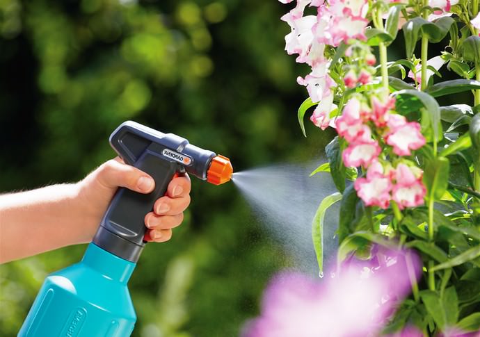 Опрыскивать садово-огородные вегетирующие растения препаратом Эпин следует утром или после захода солнца, выбрав для этого мероприятия сухой и безветренный день