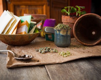 В феврале уже можно приступать к посеву таких культур, как болгарский перец и баклажаны