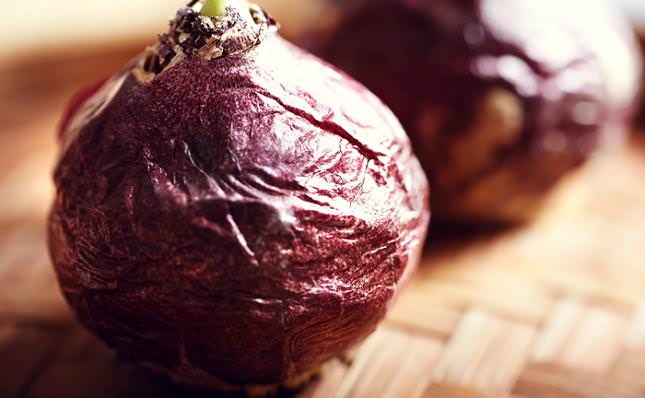 Если крупная луковица хорошо сохранилась и является достаточно тяжелой, то можно приступать к ее выращиванию в горшке