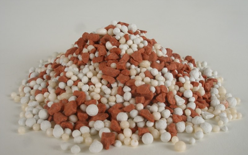 Небольшое количество гранул можно насыпать в ямку перед посадкой, но лучше положить сверху на землю, закрывающую только что зарытые клубни. Когда клубни георгин пустит, минеральные вещества уже растворятся в дождевой воде и начнут поступать к корням