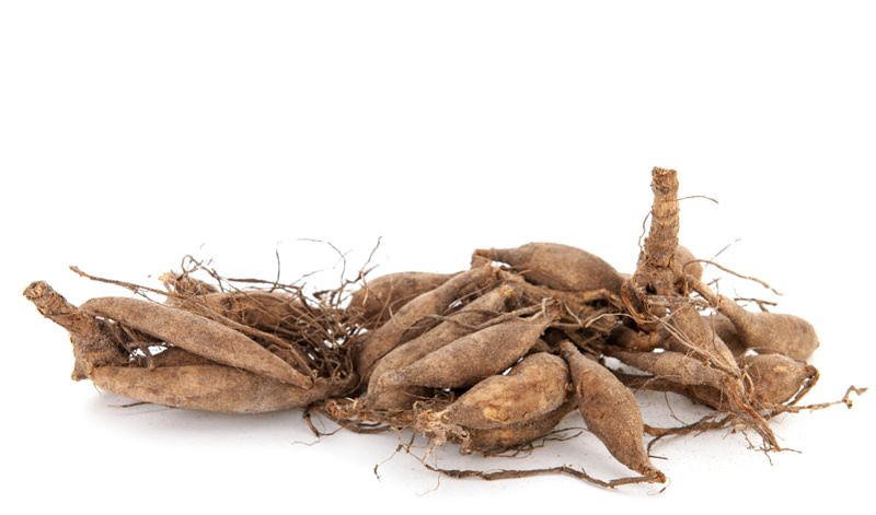 Самый простой способ хранения клубней — на стеллажах. На полки необходимо будет ровным слоем высыпать песок и разместить на нем ящики с георгинами