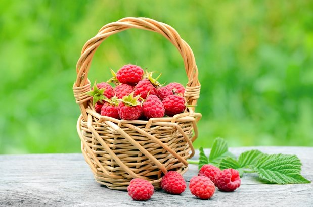 Малина сорта Метеор имеет способность долгое время сохранять вкусовые и товарные качества