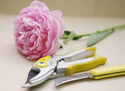 Секатор является ручным инструментом