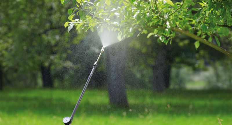 Применение баковых смесей хоруса с другими препаратами усиливает и продлевает защиту
