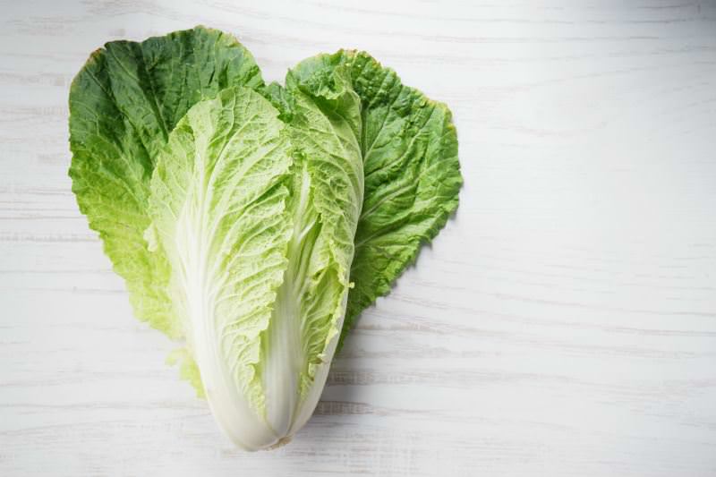 Китайская капуста является высокопродуктивным и скороспелым овощем
