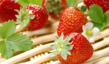 Этот сорт считается ранним, крупноплодным