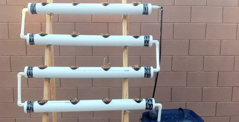 Гидропонный способ выращивания культурных растений предназначен для получения высоких урожаев различных ягод в течение всего года