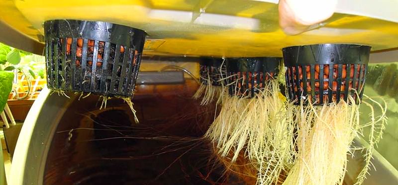 Одним из простых и эффективных способов гидропонного выращивания клубники надо считать устройство плавающей платформы