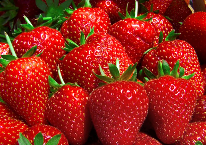 Сама ягода темно-красная, отличается сочностью, плотной консистенцией, ароматом муската и очень сладким вкусом