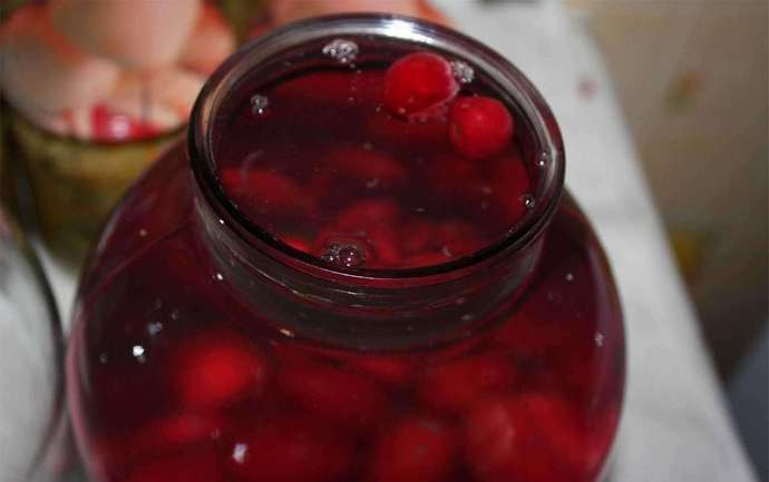 Полезные свойства этого напитка невозможно даже сосчитать