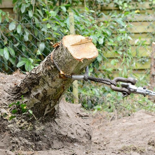 Корчевать пни можно несколькими способами