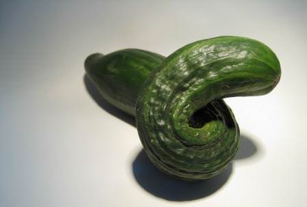 Понять, каких веществ не достает, а какие в избытке, можно по внешнему виду куста и самих плодов