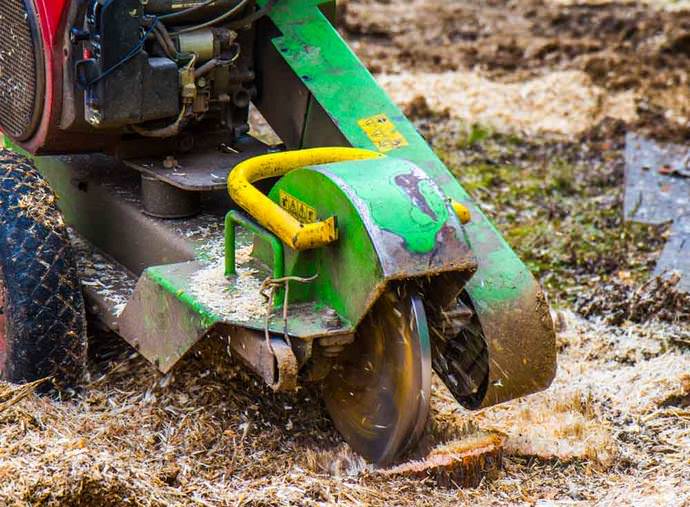 Дробилка для пней может практически без усилий стереть пень с лица вашего участка
