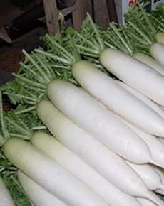 Совместимы ли дайкон и редька