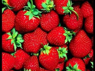 Ответ на Почему на листьях клубники появились красные и бурые пятна