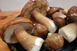 Белые грибы называют королевскими или деликатесными, ведь они обладают особенным лесным ароматом и нежным вкусом