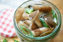 Маслята — универсальные грибы